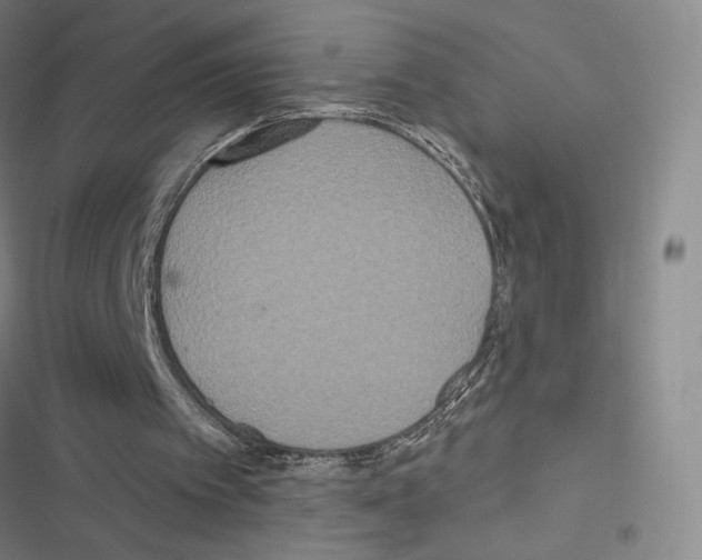 X0000116570097201001211252