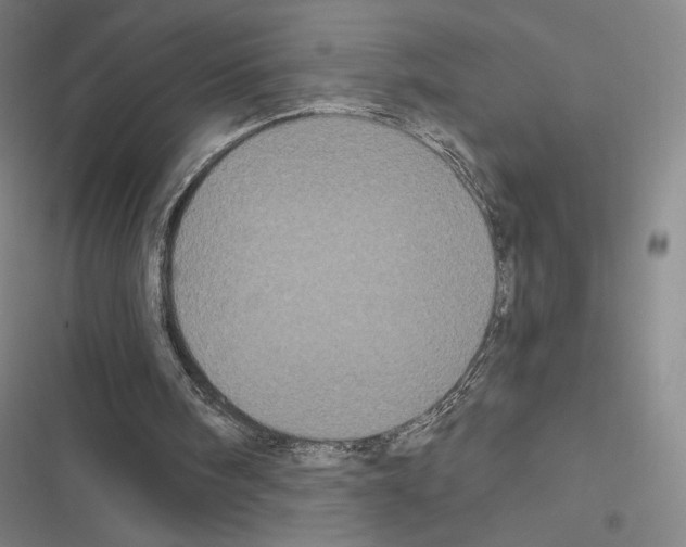 X0000116570098201001211252