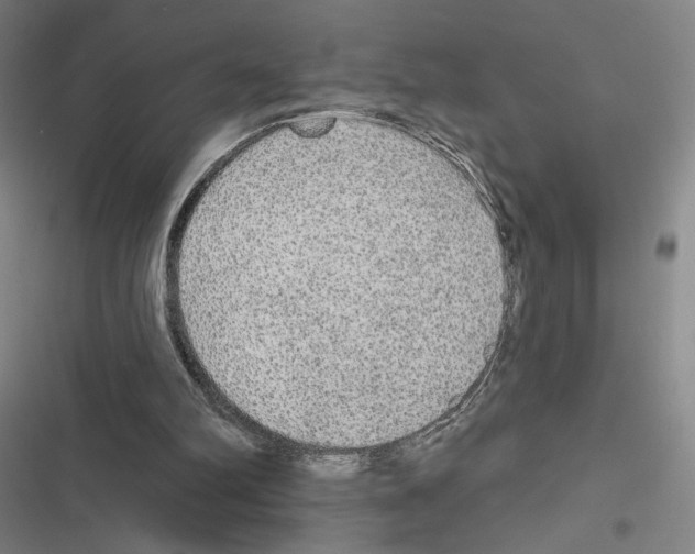 X0000116570102201001211252