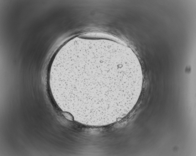 X0000116570103201001211252