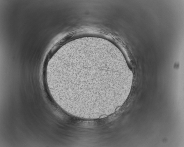 X0000116570104201001211252