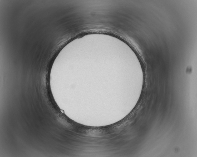 X0000116570105201001211252