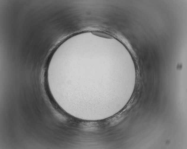 X0000116570106201001211252