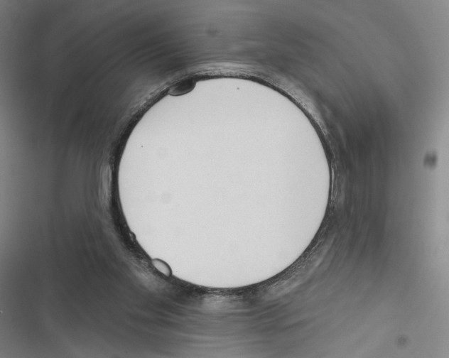 X0000116570109201001211252