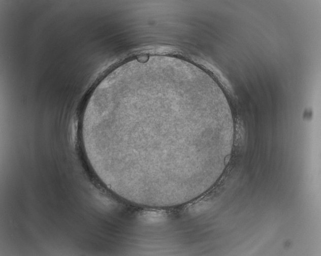 X0000116570110201001211252