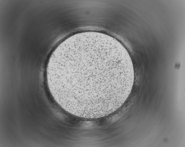 X0000116570111201001211252