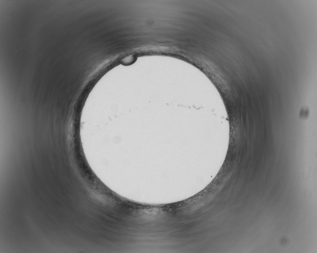 X0000116570112201001211252