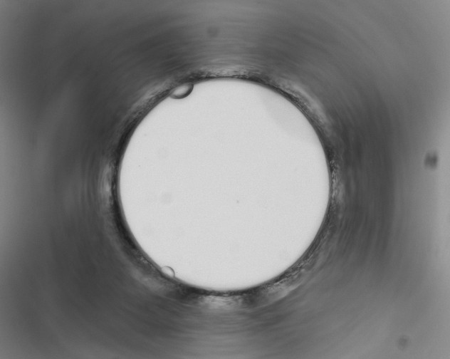 X0000116570115201001211252