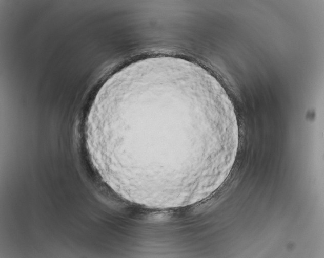 X0000116570116201001211252