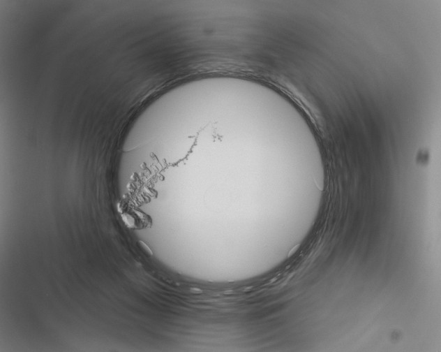 X0000116570117201001211252