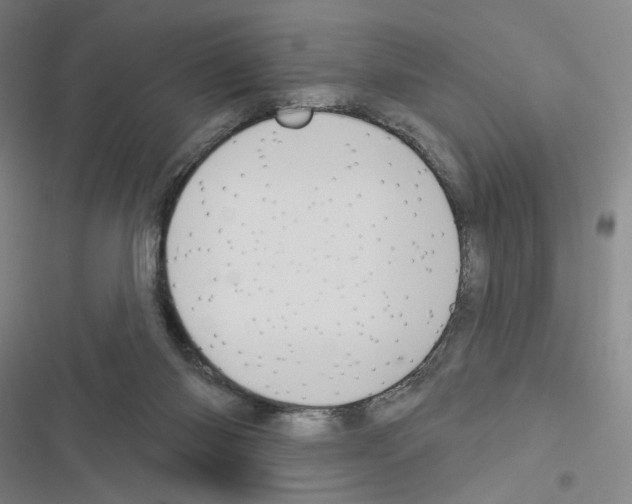 X0000116570118201001211252