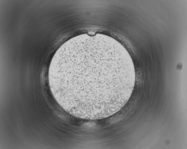 X0000116570119201001211252