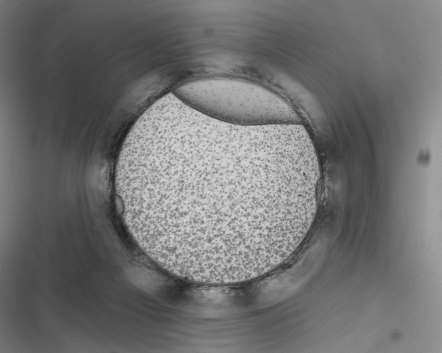 X0000116570121201001211252