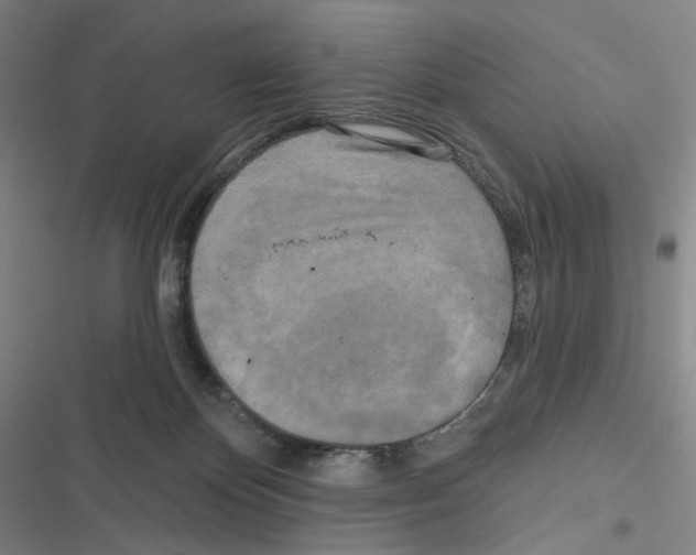 X0000116570124201001211252