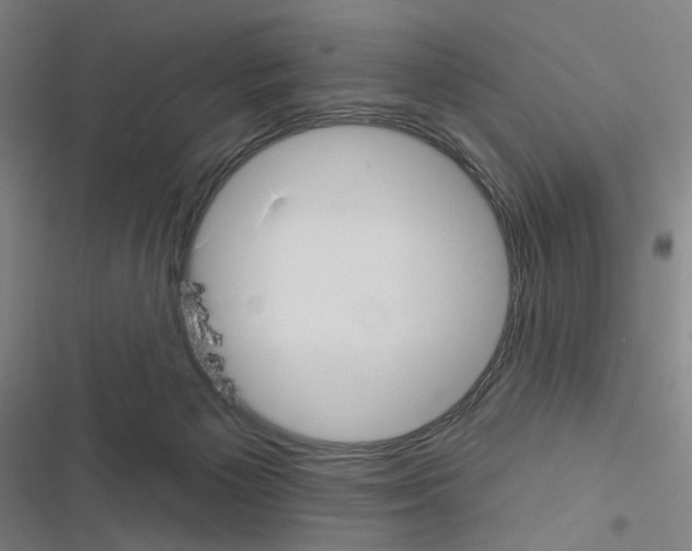 X0000116570125201001211252