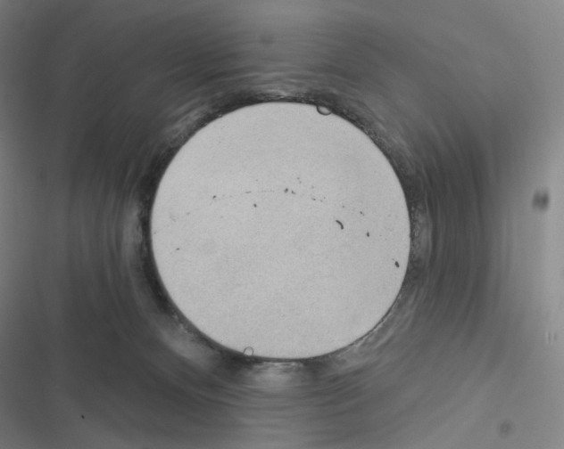 X0000116570128201001211251