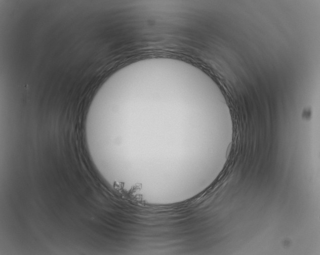 X0000116570129201001211251