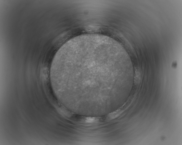 X0000116570130201001211251