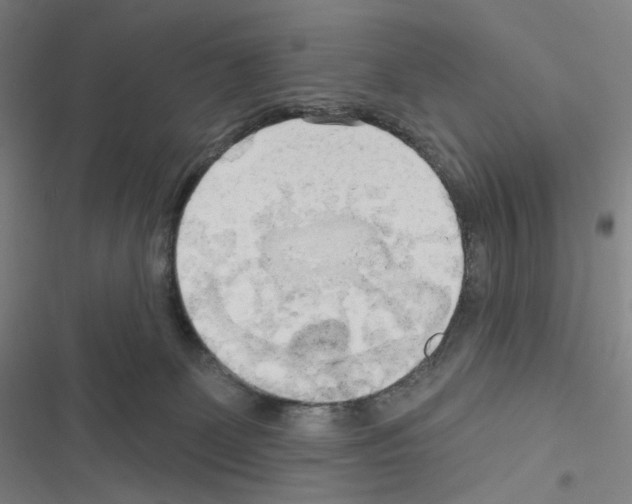 X0000116570131201001211251