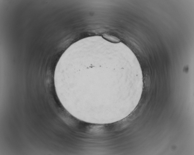 X0000116570132201001211251