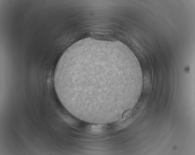 X0000116570134201001211251