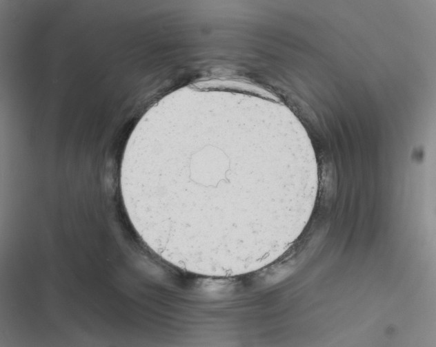 X0000116570135201001211251