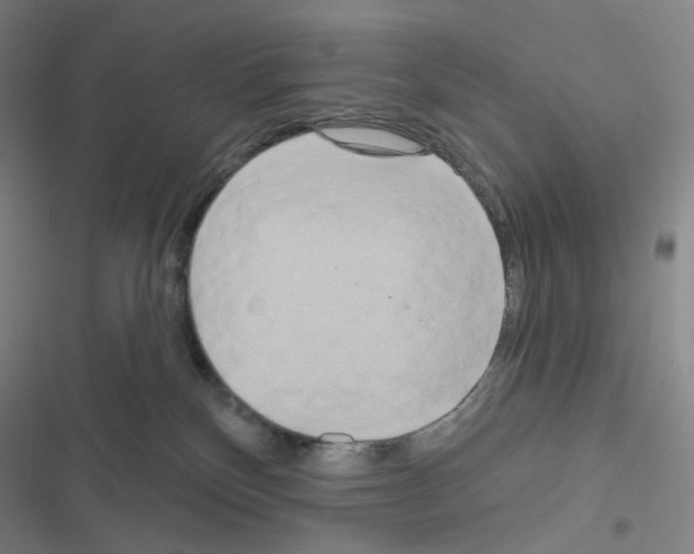 X0000116570136201001211251