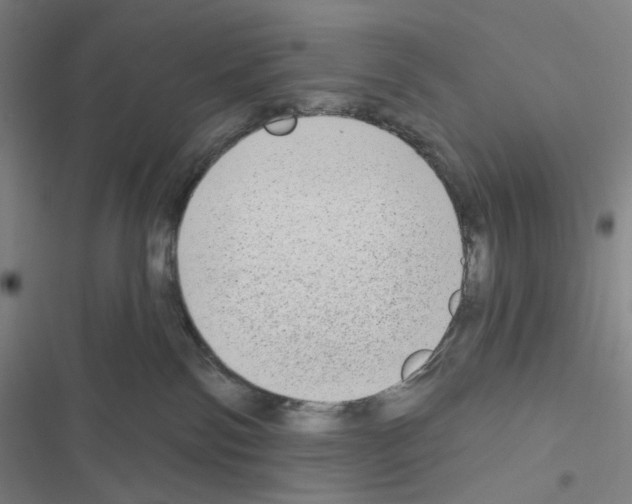 X0000116570138201001211251