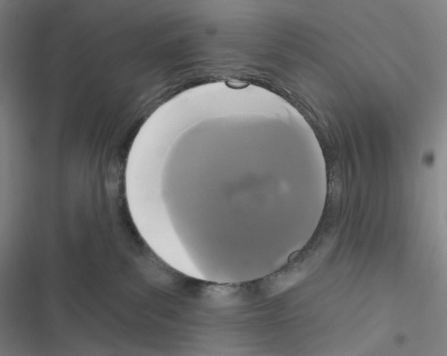 X0000116570139201001211251