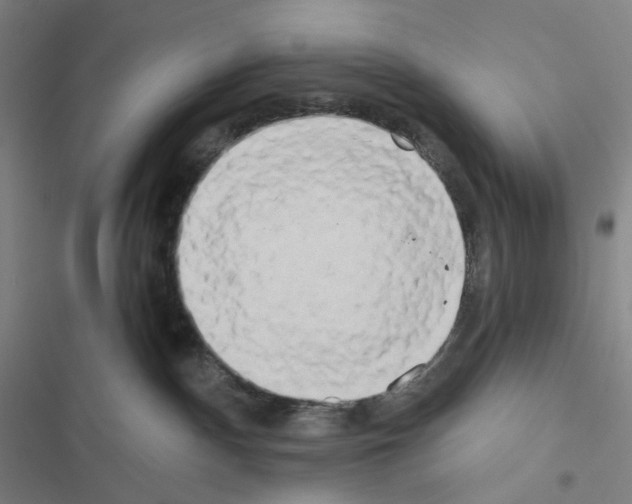 X0000116570140201001211251