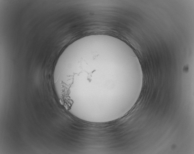 X0000116570141201001211251