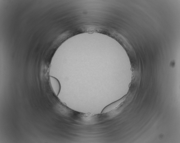 X0000116570142201001211251