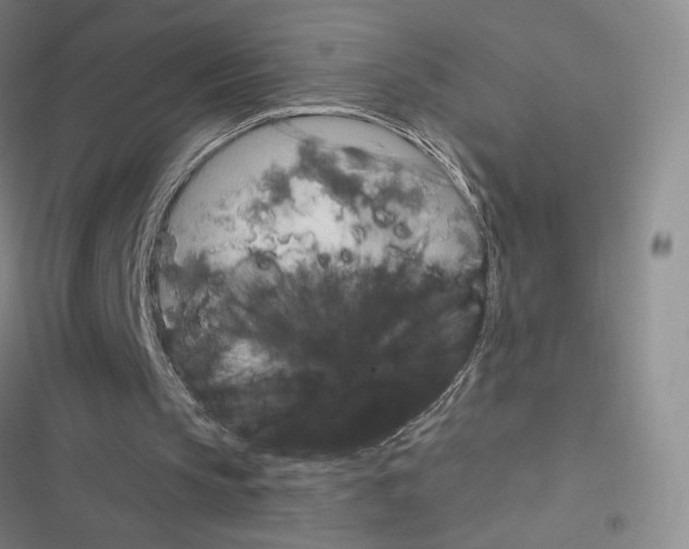 X0000116570145201001211251