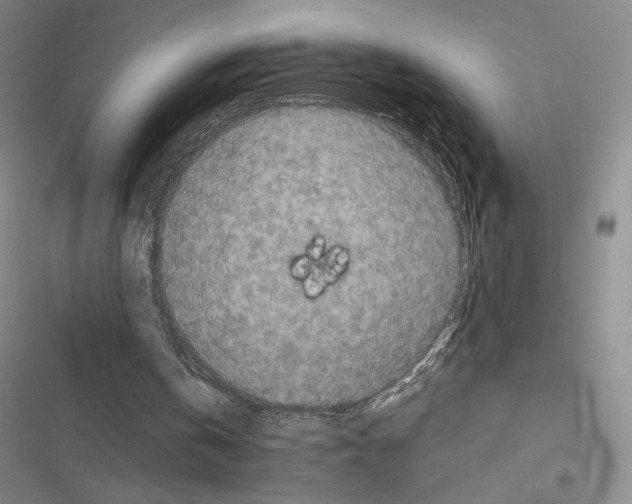 X0000116570146201001211251