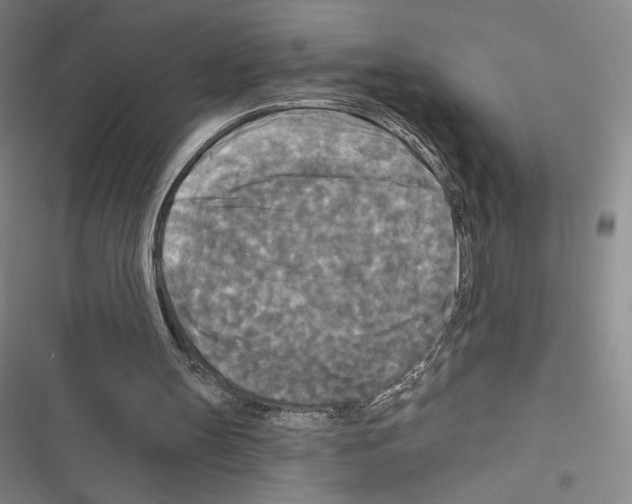 X0000116570147201001211251