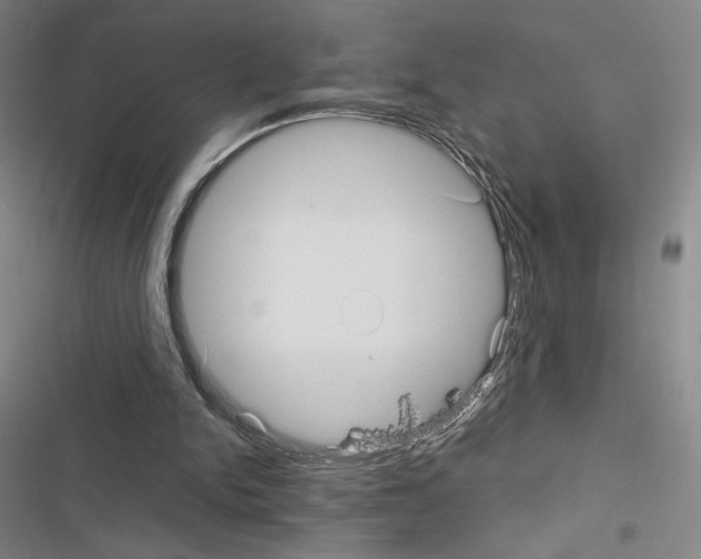 X0000116570150201001211251