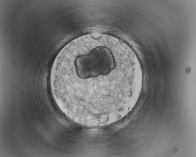 X0000116570153201001211251