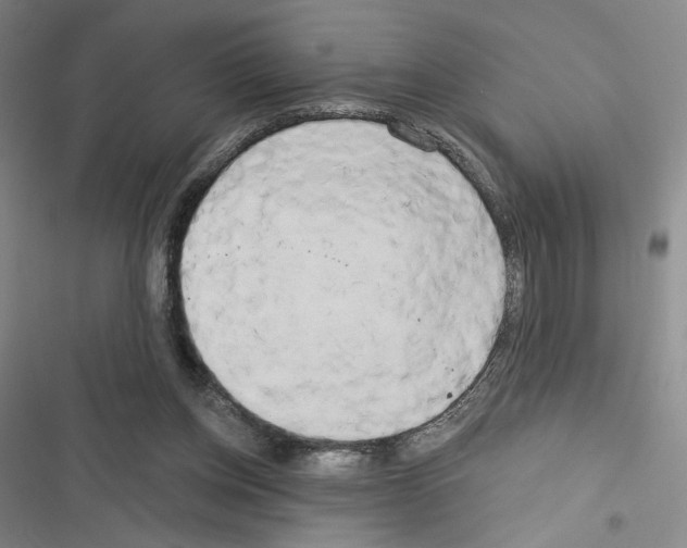 X0000116570158201001211251