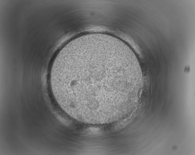 X0000116570159201001211251