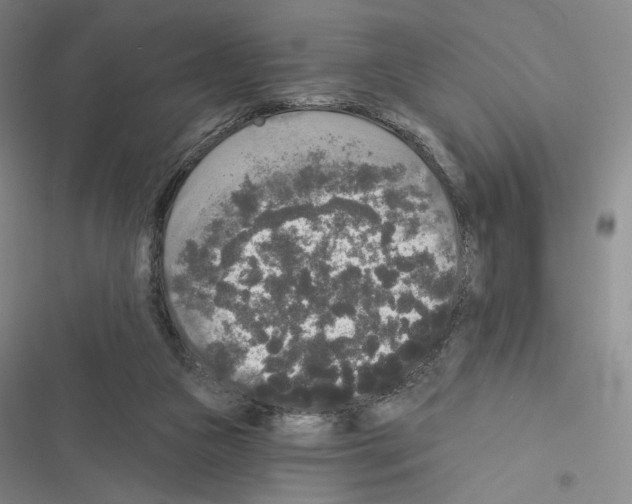 X0000116570161201001211251