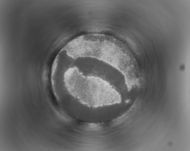 X0000116570166201001211251