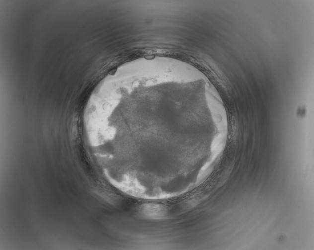 X0000116570169201001211251