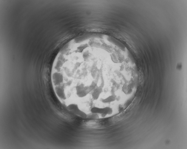 X0000116570171201001211251