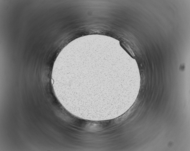 X0000116570174201001211251