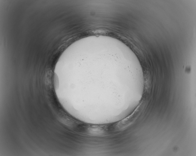 X0000116570175201001211251