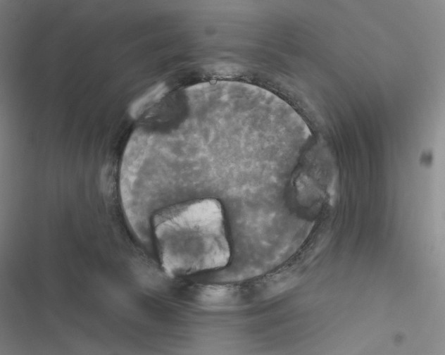 X0000116570177201001211251