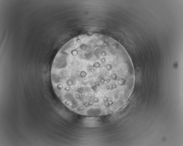 X0000116570179201001211251