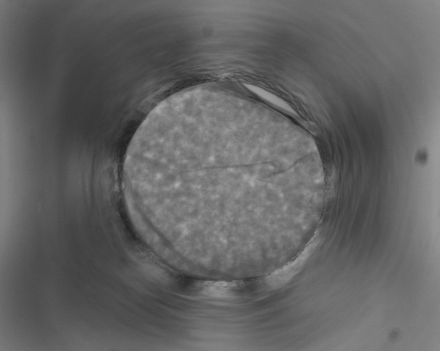 X0000116570182201001211251