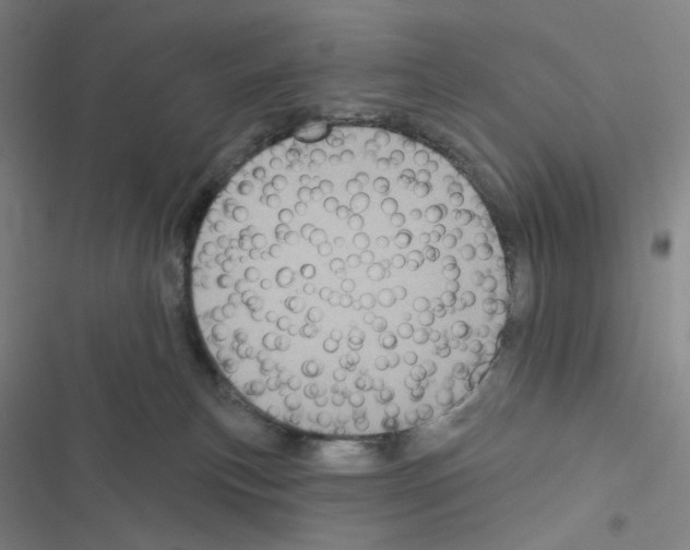 X0000116570183201001211251