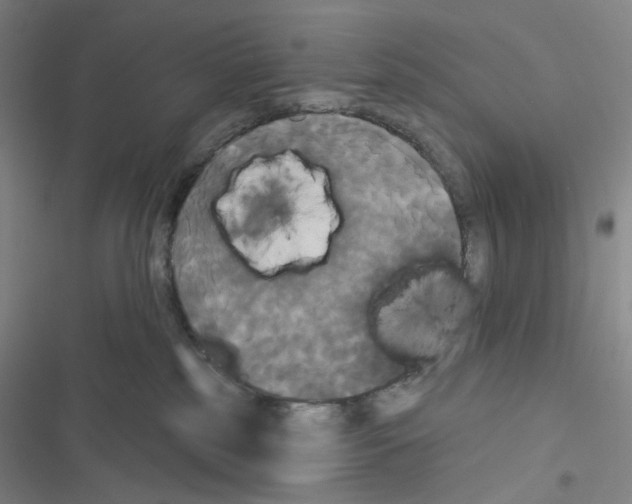 X0000116570185201001211251